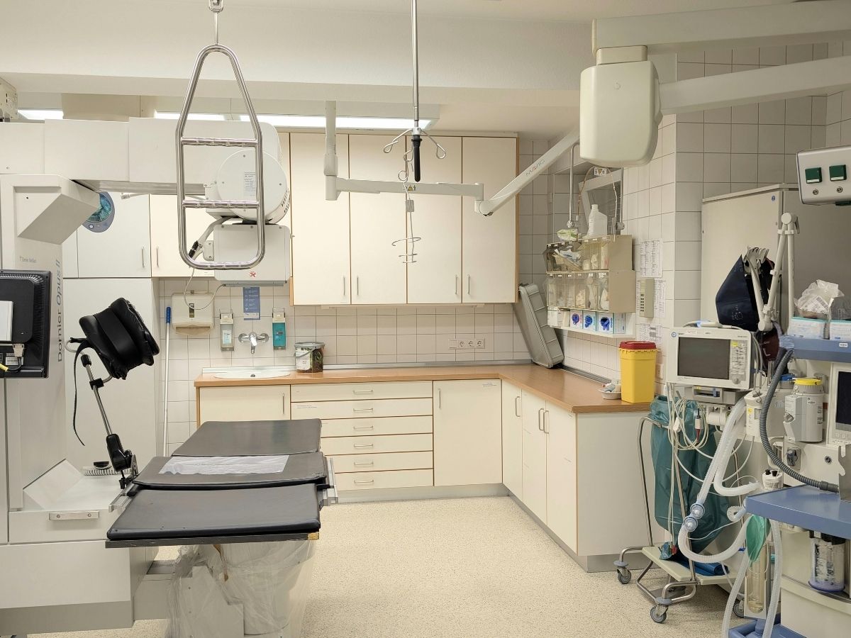 new year 2026 - Photo Gallery