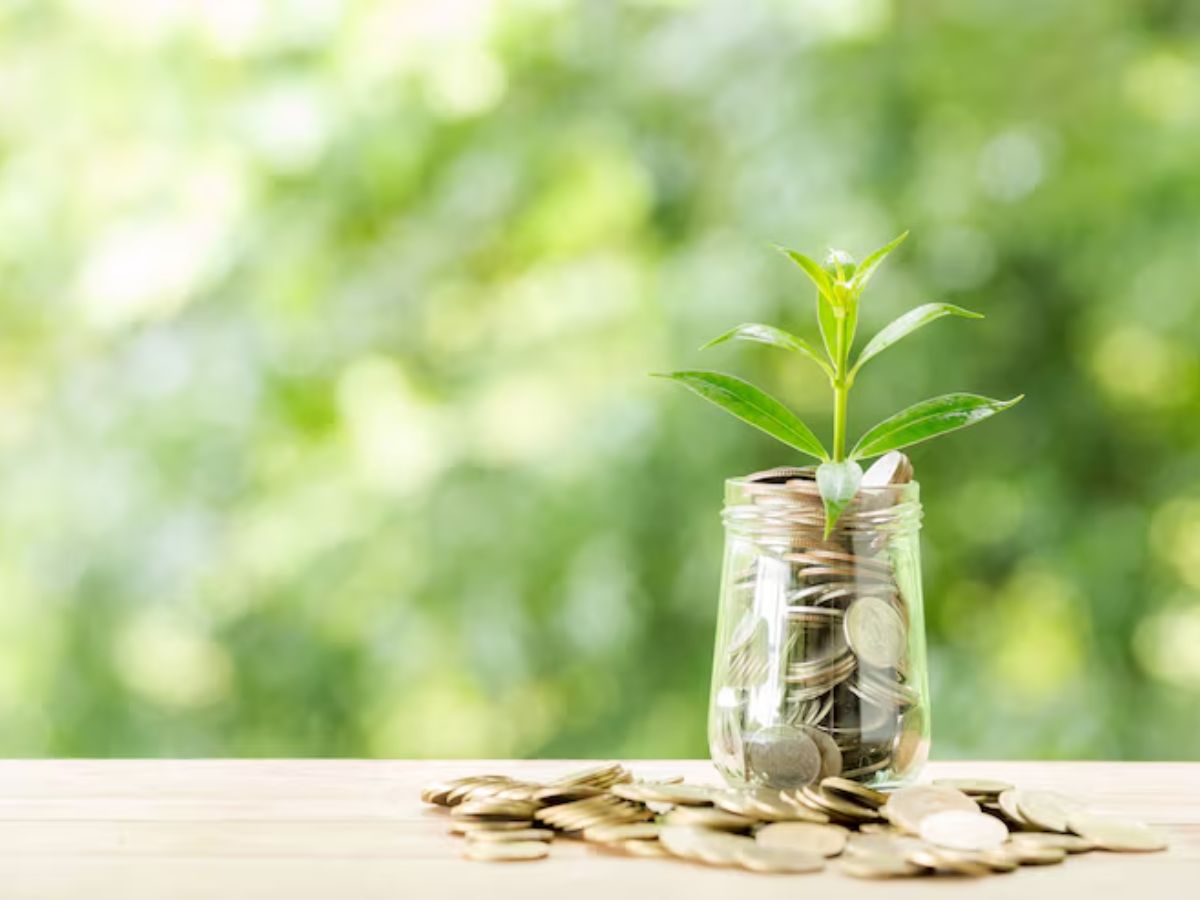 New Year Gift Superstition: कहीं आपने तो नहीं दे दिया अपने दोस्त को ये गिफ्ट, पूरे साल पड़ेगा पछताना, जानें वजह..! - Photo Gallery