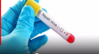 Nipah Virus In West Bengal: चमगादड़ों से फैलने वाले निपाह वायरस के बंगाल में 5 केस, जानें क्या हैं इसके लक्षण और कैसे करें बचाव?