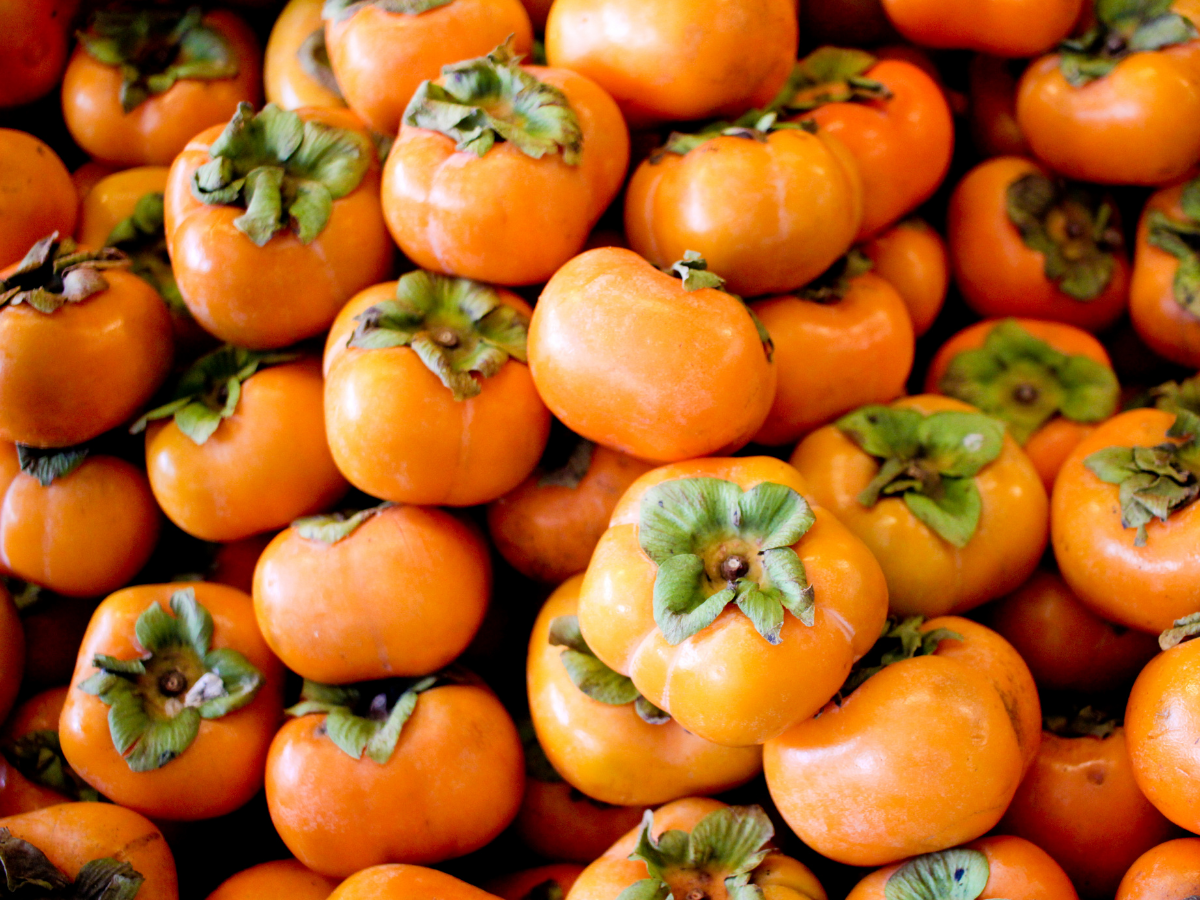 ये 10 विदेशी सर्दियों के फल कर देंगे हैरान; स्वाद से सेहत तक सब दमदार! - Photo Gallery