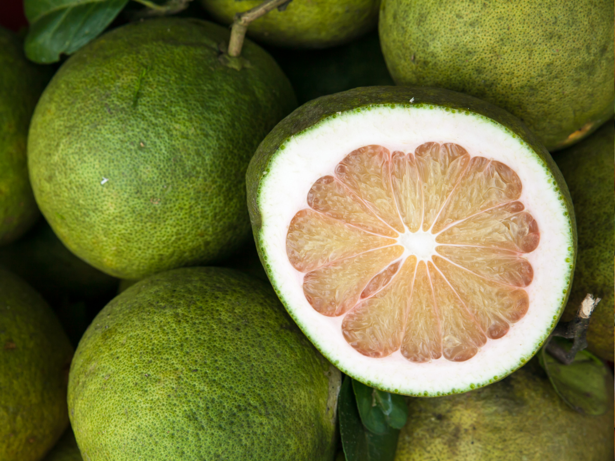 ये 10 विदेशी सर्दियों के फल कर देंगे हैरान; स्वाद से सेहत तक सब दमदार! - Photo Gallery