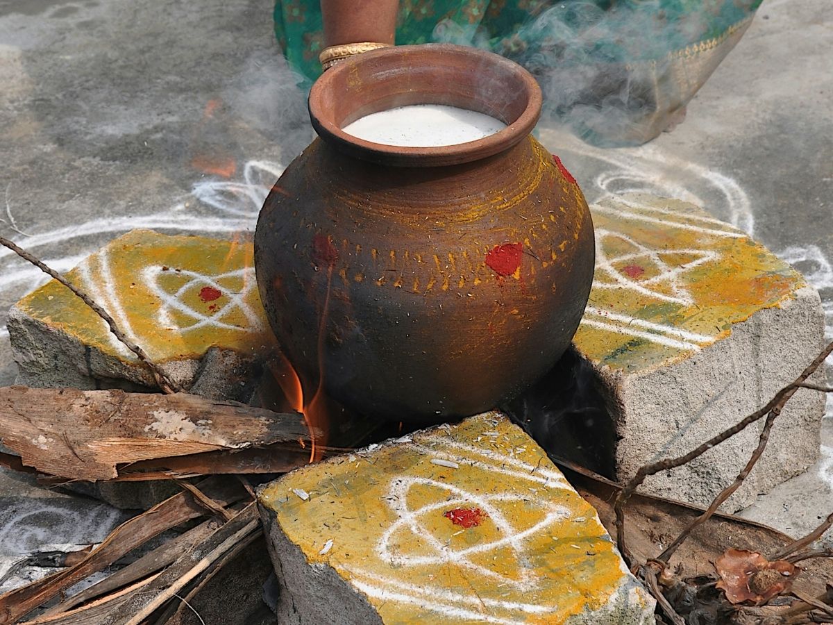 Pongal Food: पोंगल सिर्फ त्योहार नहीं…जानें वहां के खाने की बेस्ट और टेस्टी रेसीपी - Photo Gallery