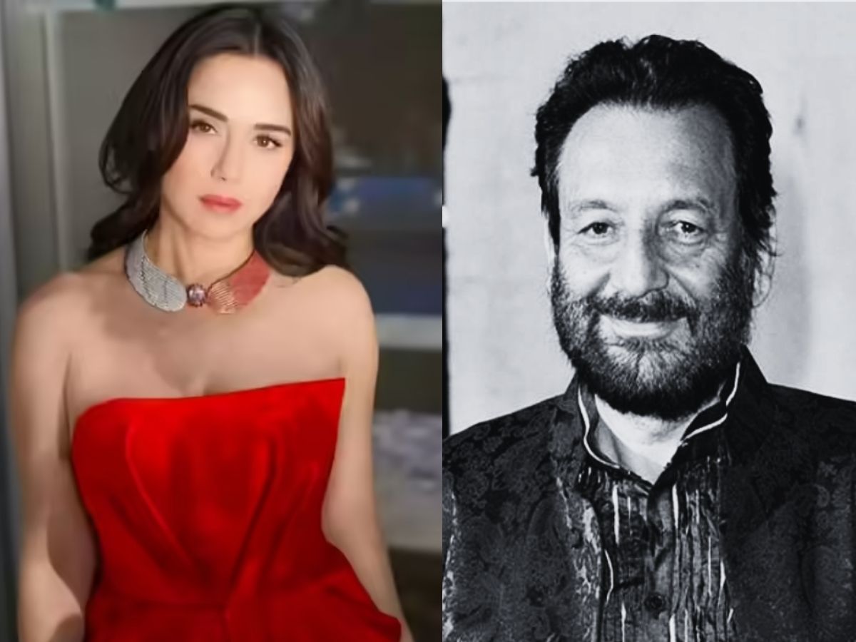 शेखर कपूर की दूसरी पत्नी सुचित्रा कृष्णमूर्ति ने प्रीति जिंटा को अपनी शादी टूटने का जिम्मेदार ठहराया था. - Photo Gallery