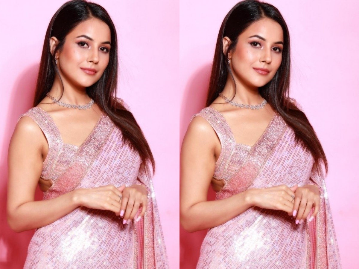 सुसाइड करने चली थीं शहनाज गिल? सिद्धार्थ की मौत से लेकर बॉलीवुड तक का सफर; जानें लाइफ स्ट्रगल - Photo Gallery