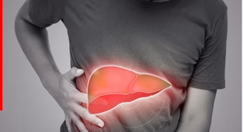 लिवर डैमेज के संकेत, आंखों से लेकर पेट तक दिखते हैं ये लक्षण; तुरंत टेस्ट कराना क्यों जरूरी