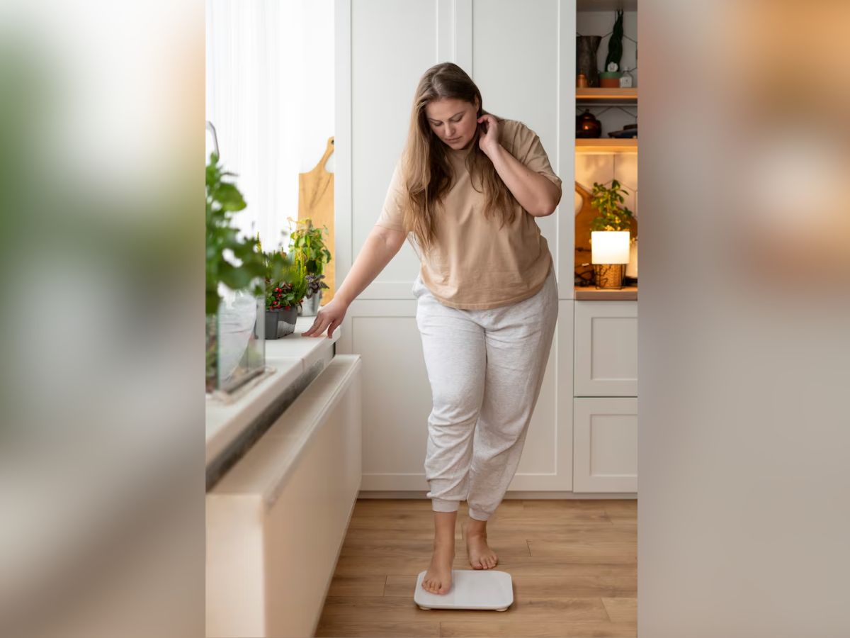 sugar 6 - Photo Gallery