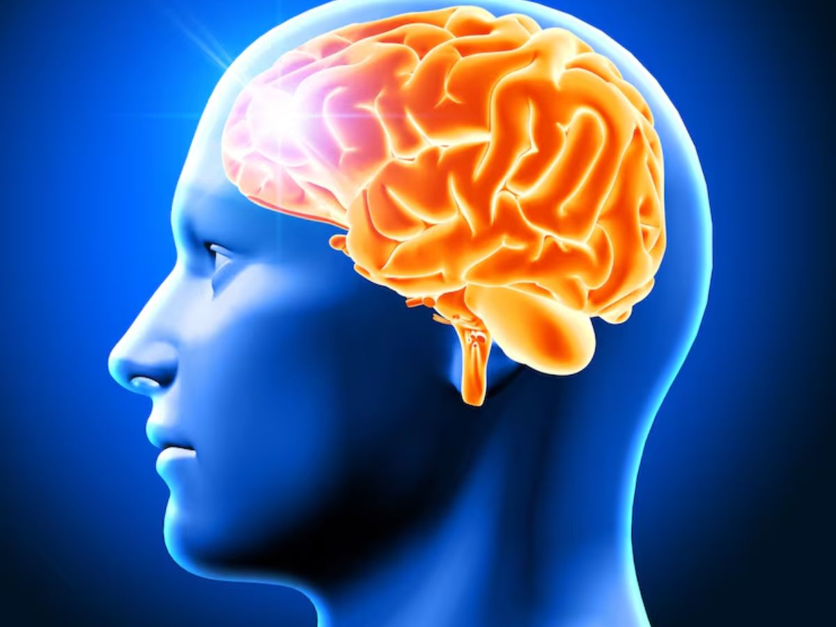 sugar 8 - Photo Gallery