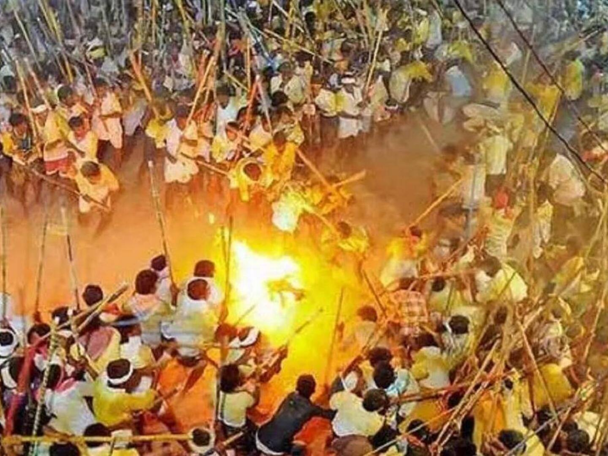 मेंढक की शादी से लेकर भैंस की दौड़ तक, भारत में धूमधाम ने मनाई जाती हैं ये अनोखी परंपराएं; जिन पर नहीं होगा यकीन - Photo Gallery