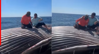 वीडियो जिसने दिल तोड़ दिया! मरी हुई व्हेल के साथ जश्न मनाते मछुआरे, शर्मनाक हरकत से भड़के ‘Animal Lovers’