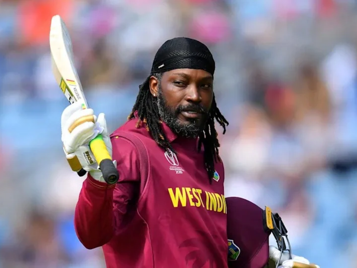 टी20 वर्ल्ड कप में सबसे ज्यादा फिफ्टी लगाने वाले टॉप-10 बल्लेबाज, यहां देखें पूरी लिस्ट - Photo Gallery