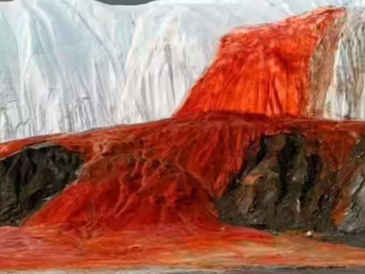 100 साल बाद खुला अंटार्कटिका के ‘खूनी झरने’ का रहस्य, वैज्ञानिकों ने किया बड़ा खुलासा - Photo Gallery