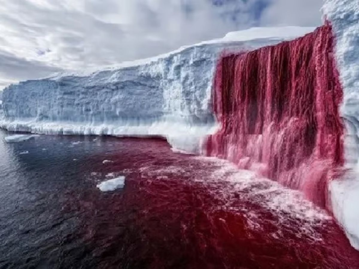 100 साल बाद खुला अंटार्कटिका के ‘खूनी झरने’ का रहस्य, वैज्ञानिकों ने किया बड़ा खुलासा - Photo Gallery