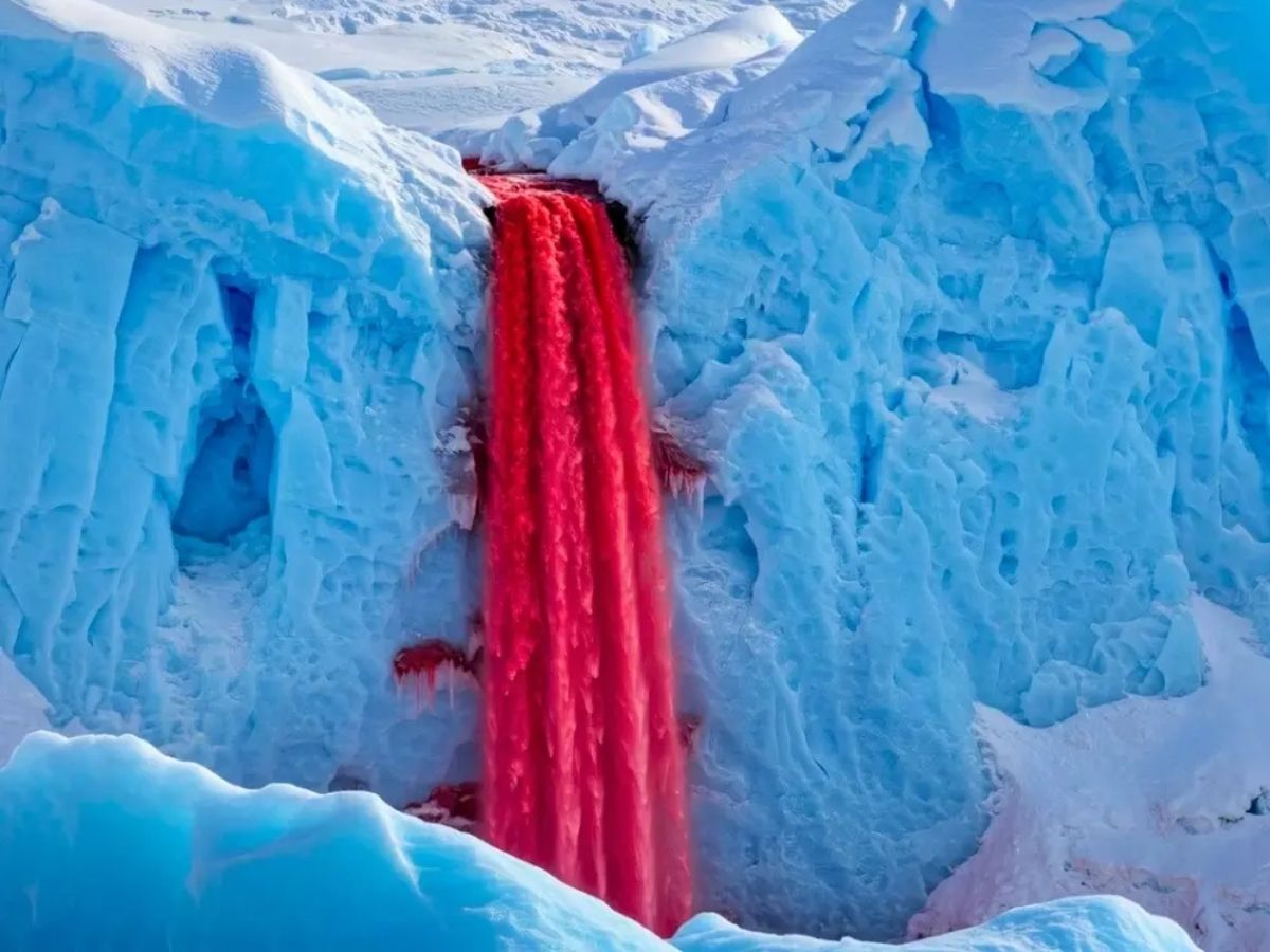100 साल बाद खुला अंटार्कटिका के ‘खूनी झरने’ का रहस्य, वैज्ञानिकों ने किया बड़ा खुलासा - Photo Gallery