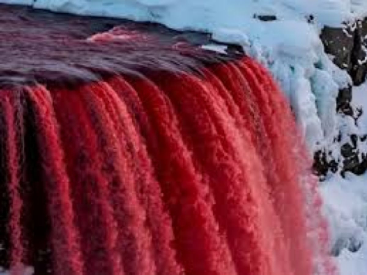100 साल बाद खुला अंटार्कटिका के ‘खूनी झरने’ का रहस्य, वैज्ञानिकों ने किया बड़ा खुलासा - Photo Gallery