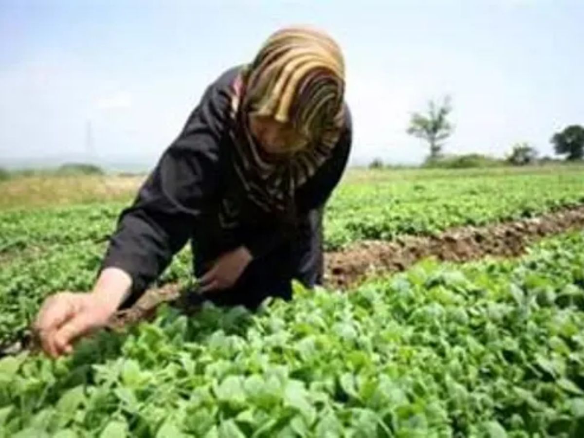 bharat vistaar - Photo Gallery