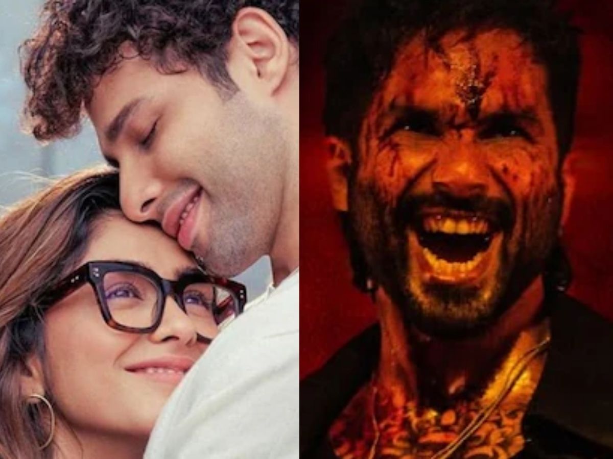 Box Office Collection: ‘तू या मैं’ की हालत हुई खराब, इस शाहिद कपूर की फिल्म ‘ओ’रोमियो’ ने मारी बाजी; जानें बॉक्स ऑफिस रिपोर्ट यहां… - Photo Gallery