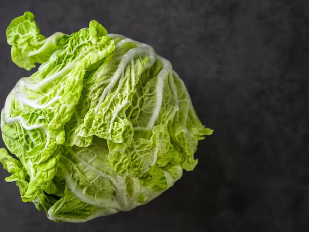 cabbage worms - Photo Gallery