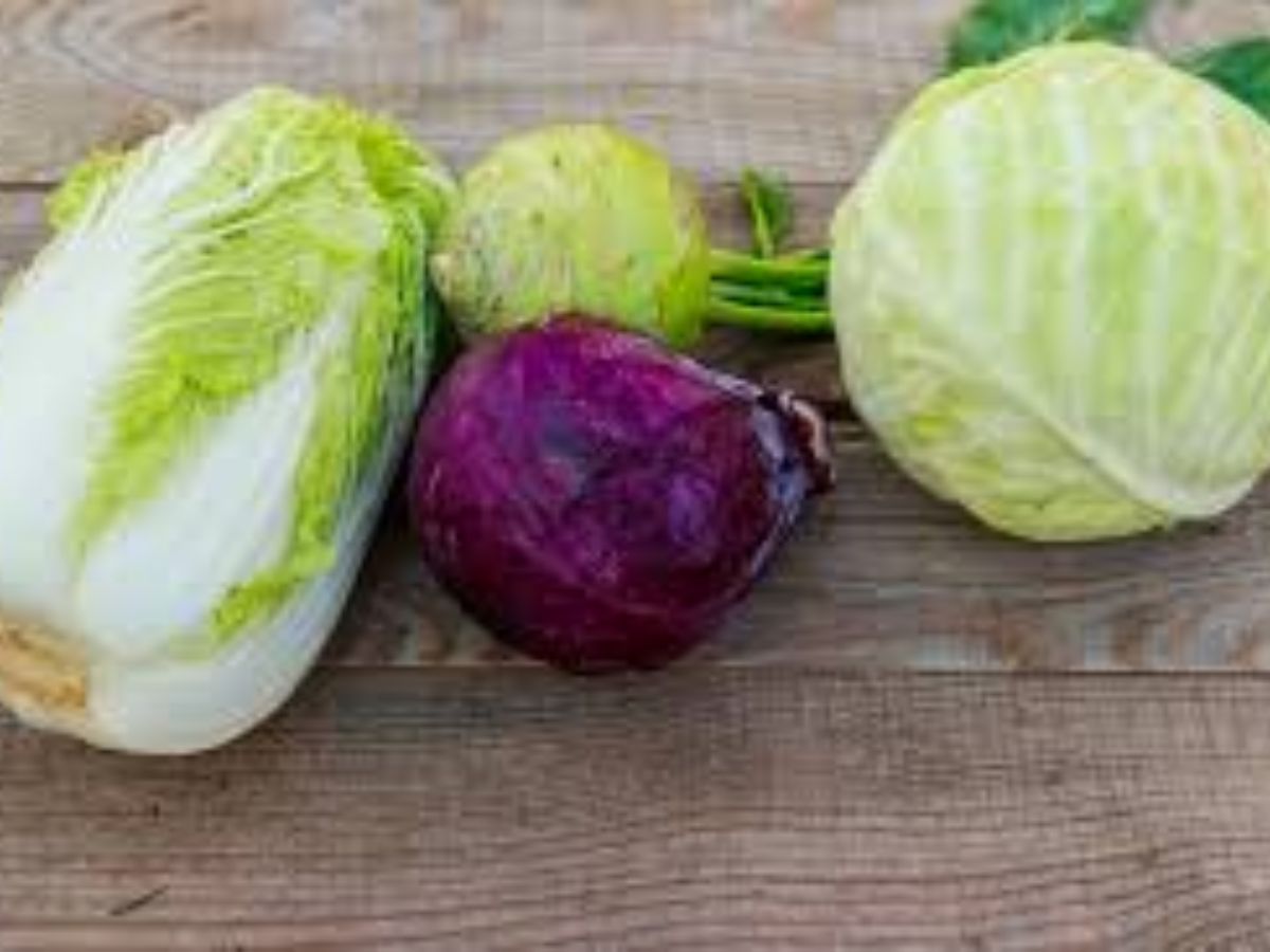 cabbage worms - Photo Gallery