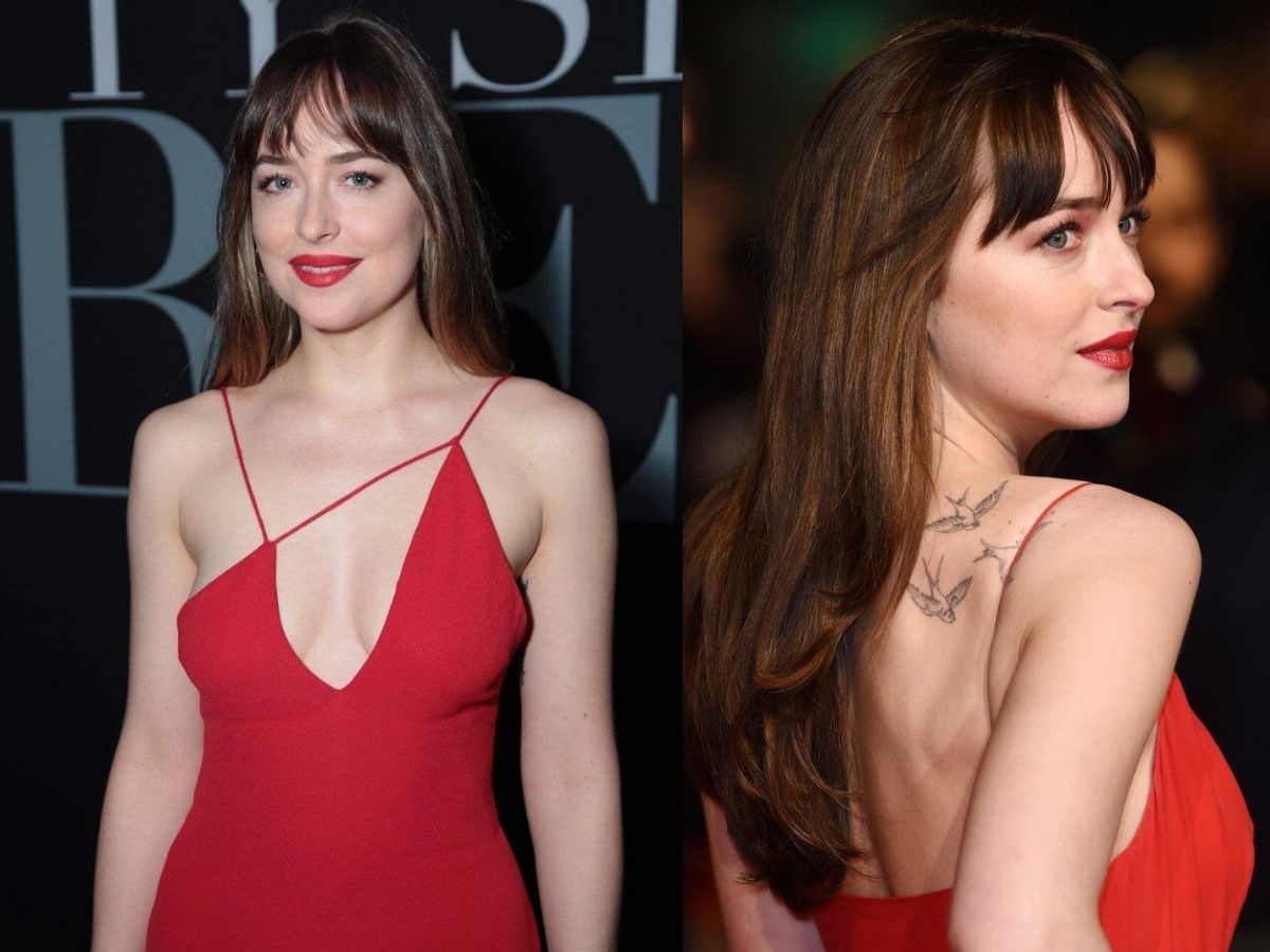 Dakota Johnson Look: हॉलीवुड की ऐश्वर्या राय! डकोटा जॉनसन का ये लुक देख नहीं हटेंगी नजरें - Photo Gallery