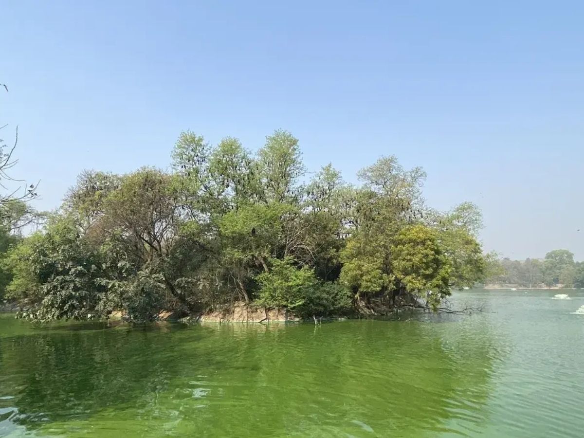 दिल्ली में ये 7 झीलें आपने देखीं क्या? रविवार को गर्लफ्रेंड के साथ घूमने का लें मजा - Photo Gallery