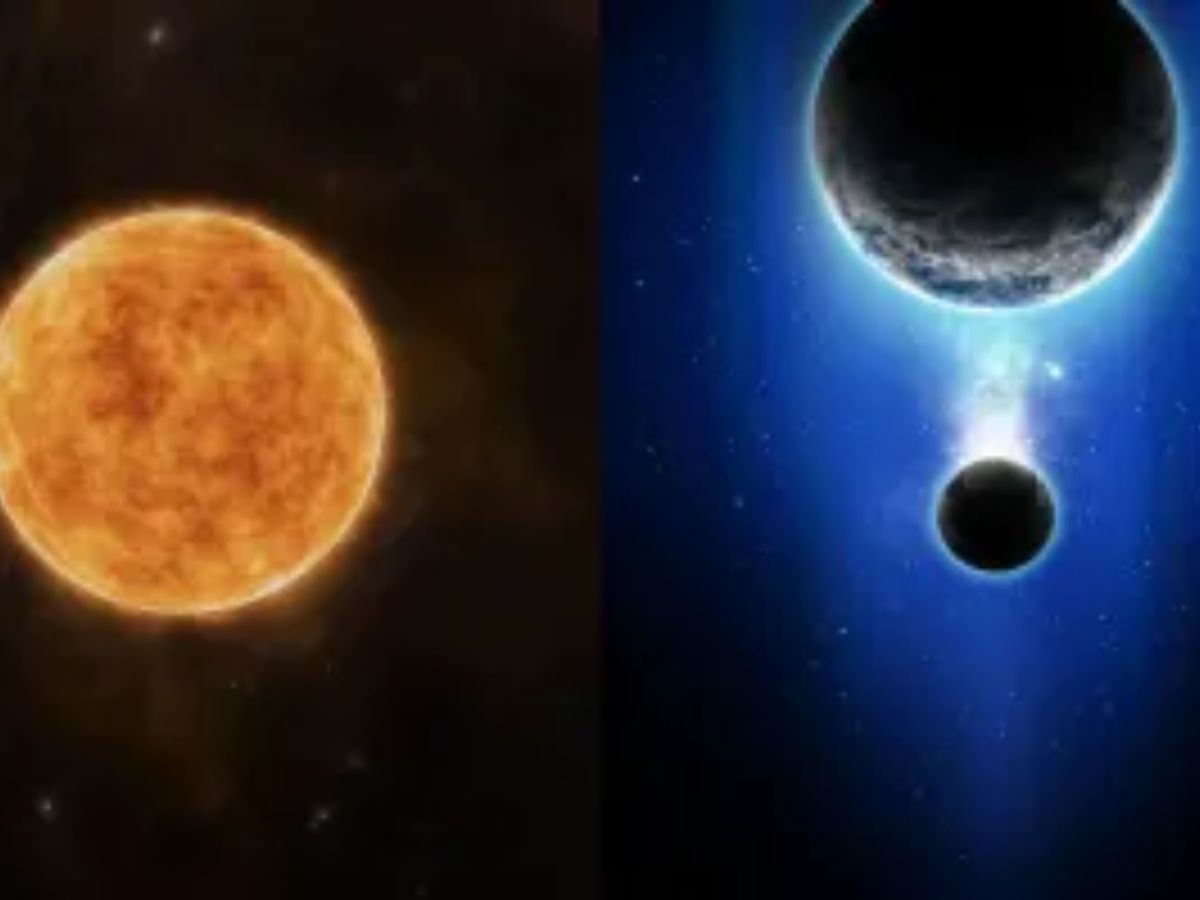 Holi 2026: तीन साल, तीन ग्रहण, क्या 2026 की होली बनेगी इतिहास की सबसे अनोखी होली? - Photo Gallery