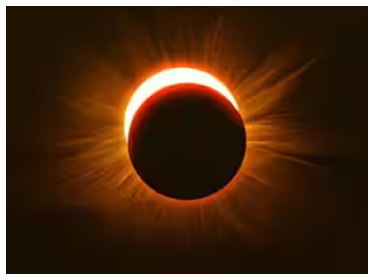 Holi 2026: प्रेमानंद महाराज ने लोगों से होली खेलने से क्यों किया मना, वजह जान चौंक जाएंगे आप - Photo Gallery