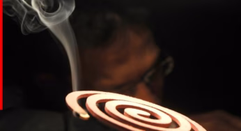 मच्छर मारने वाली एक कॉइल 100 सिगरेट जितनी खतरनाक, जानिए क्या है इसके नुकसान