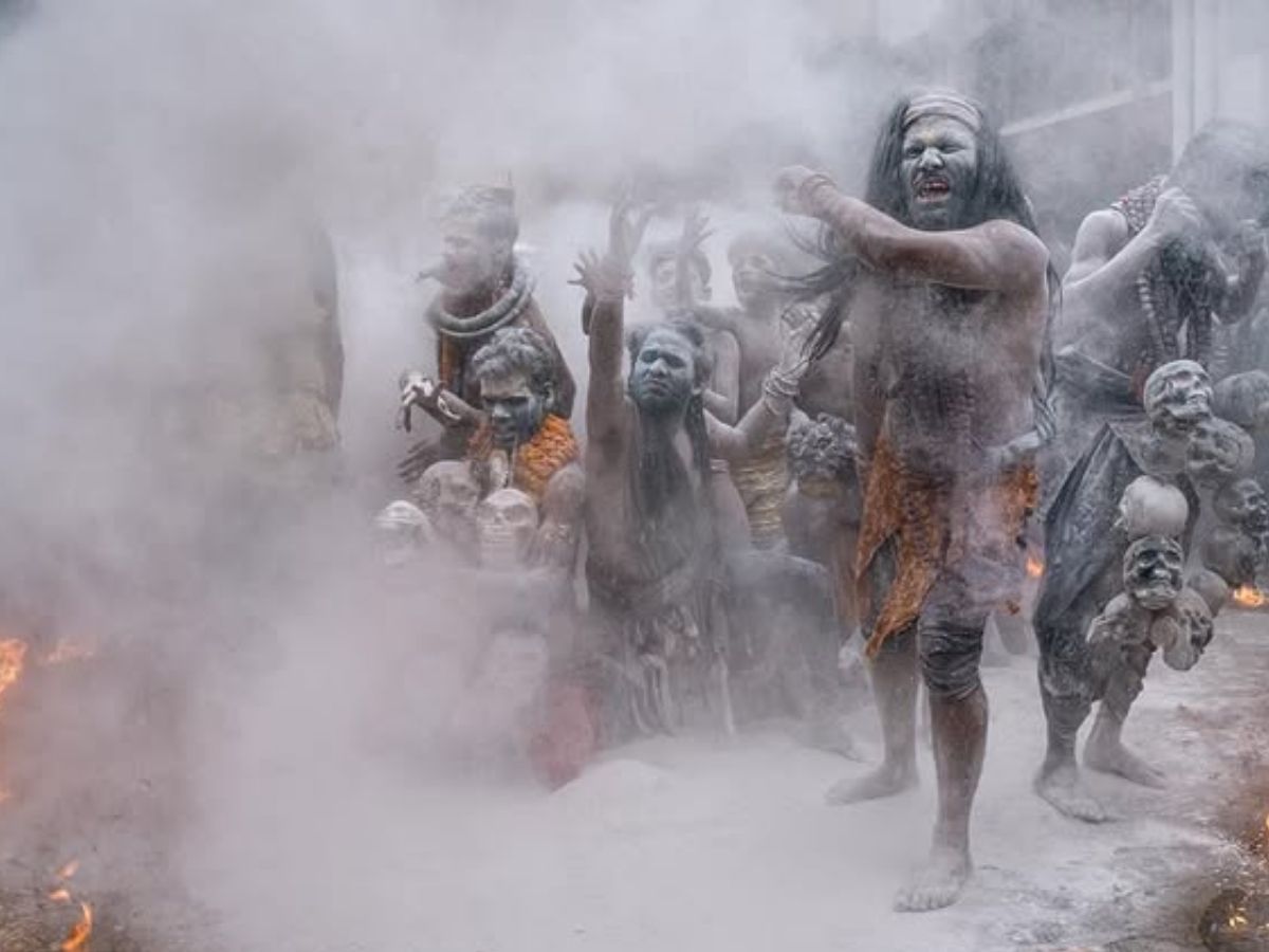 Holi 2026: आस्था या अंधविश्वास, श्मशान की मसान होली को लेकर चौंकाने वाली मान्यताएं; महिलाओं को क्यों रखा जाता है दूर? - Photo Gallery