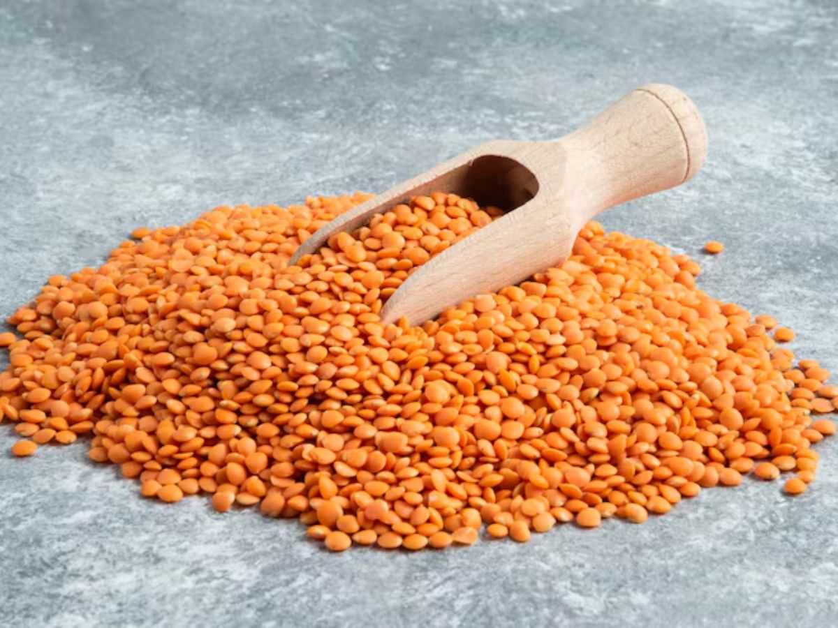 बंगाल में हिंदू मसूर दाल को क्यों नहीं मानते शाकाहारी, क्या है महाभारत से इसका नाता? - Photo Gallery