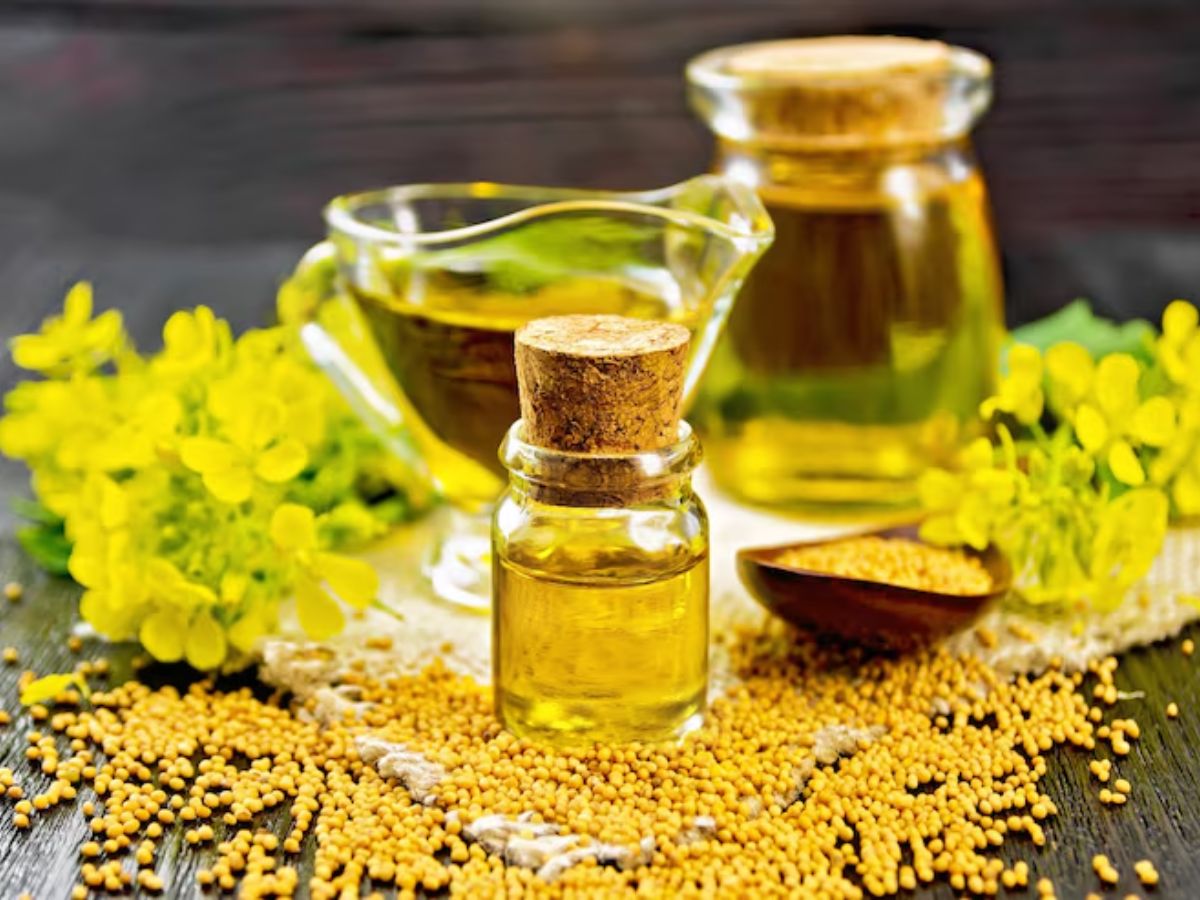 Mustard Oil vs Ghee vs Coconut Oil - Photo Gallery