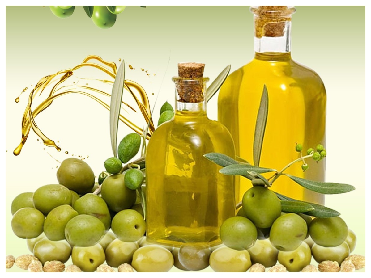 Olive oil benefits: जैतून के तेल में छुपा है सेहत का खजाना, जानिए क्यों माना जाता है सुपर ऑयल - Photo Gallery