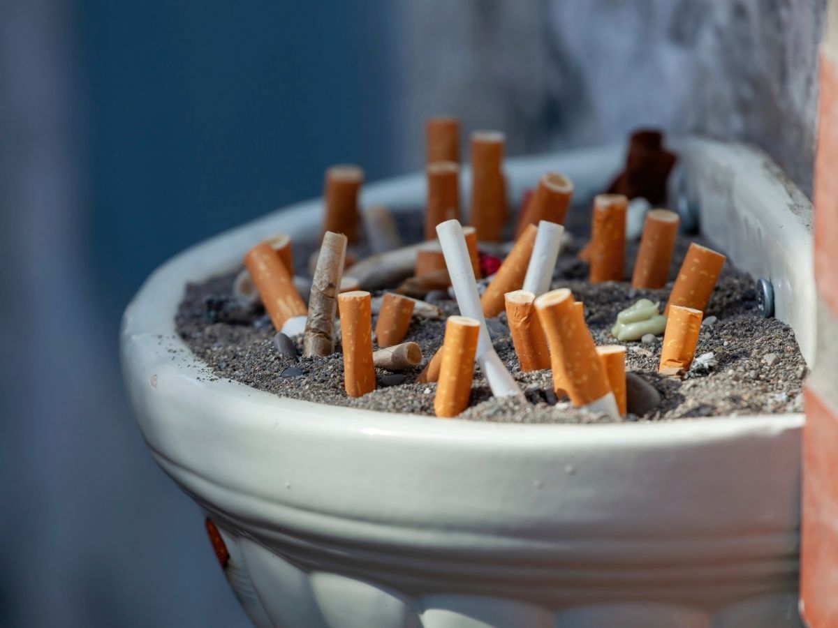 आज 1 फरवरी से कई महत्वपूर्ण बदलाव की शुरुआत होने जा रही है. भारत के नागरिक होने के नाते आप सभी को इन बदलावों और नियमों के बारे में पता होना चाहिए. - Photo Gallery