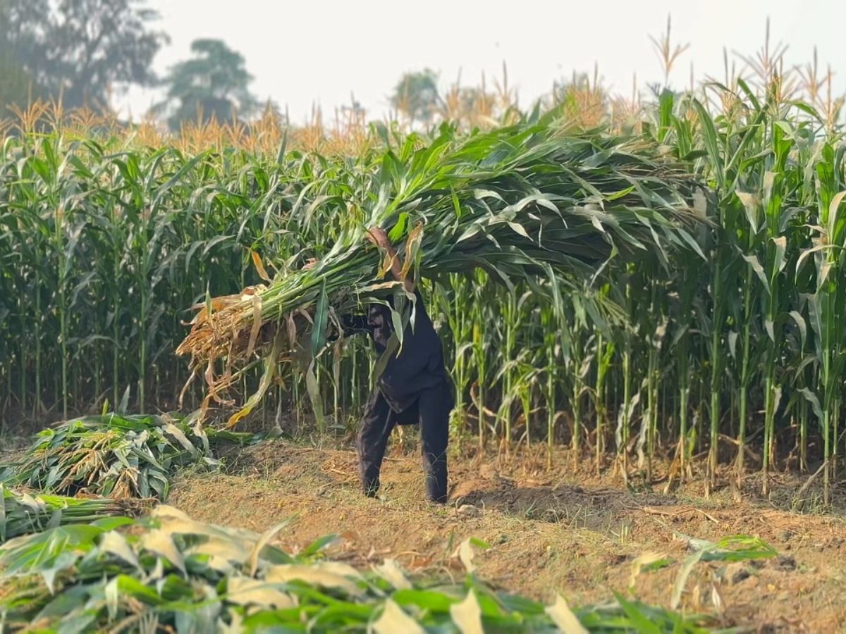 PM kisan yojana 22nd installment - Photo Gallery