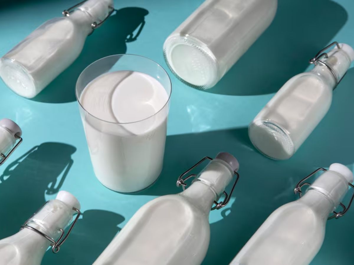 Raw vs pasteurized milk - Photo Gallery