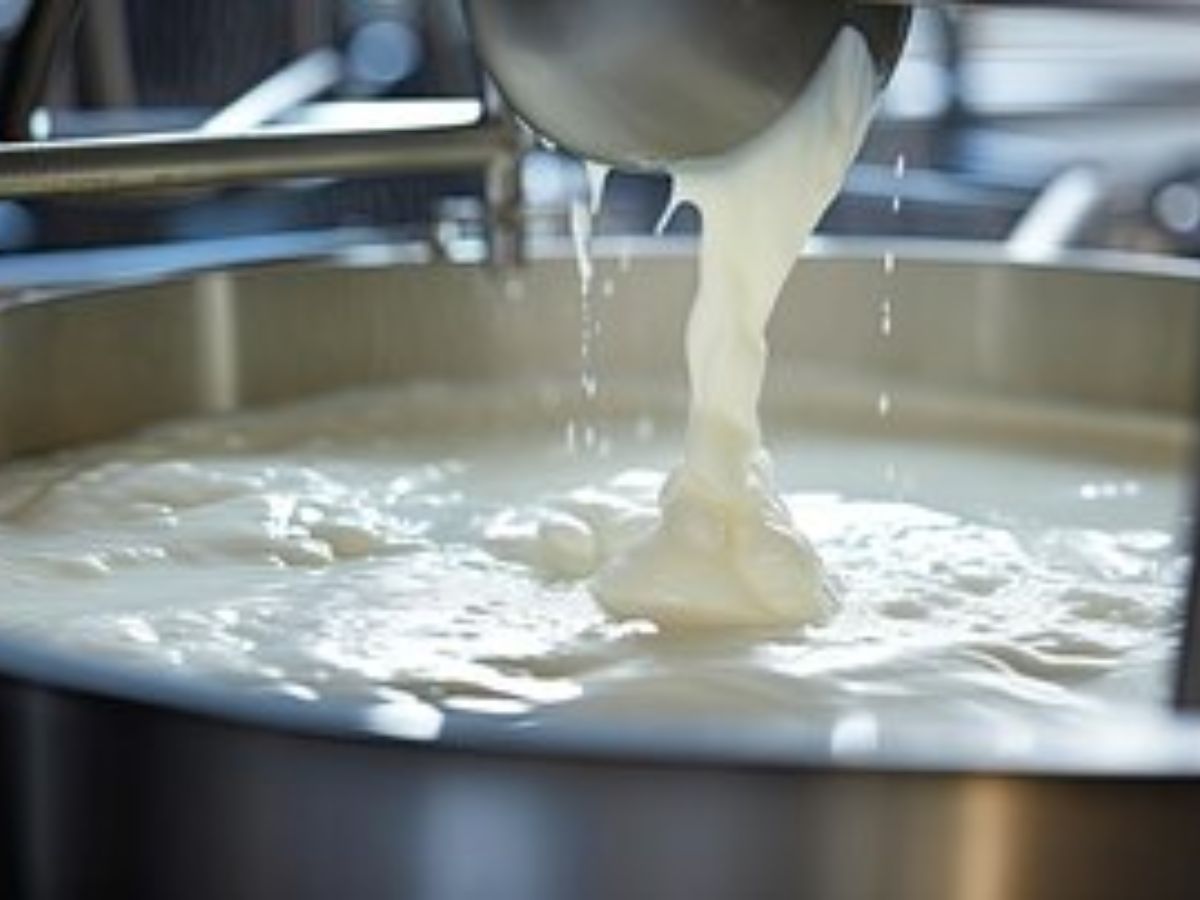 Raw vs pasteurized milk:  क्या होत है पाश्चराइज्ड दूध? इसे उबालना चाहिए या नहीं? - Photo Gallery