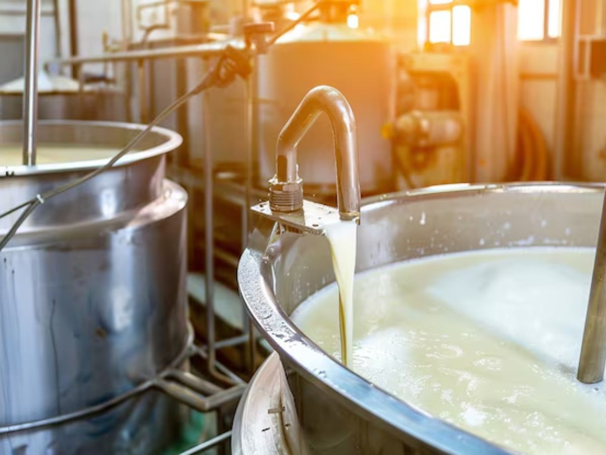 Raw vs pasteurized milk - Photo Gallery