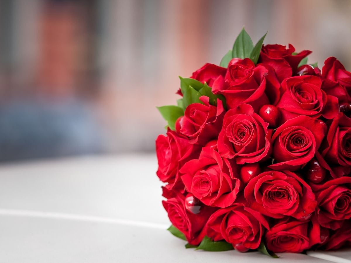 Rose Day Wishes: एक गुलाब तेरे नाम! रोज डे पर अपने हमसफर को भेजें ये प्यार भरा पैगाम - Photo Gallery