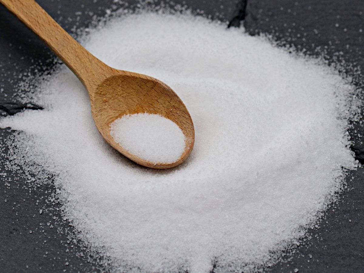 क्या बिना नमक जिंदा रह सकता है आदमी, फायदा होगा या सेहत पर पड़ेगा भारी? एक्सपर्ट्स से समझें पूरा मामला! - Photo Gallery