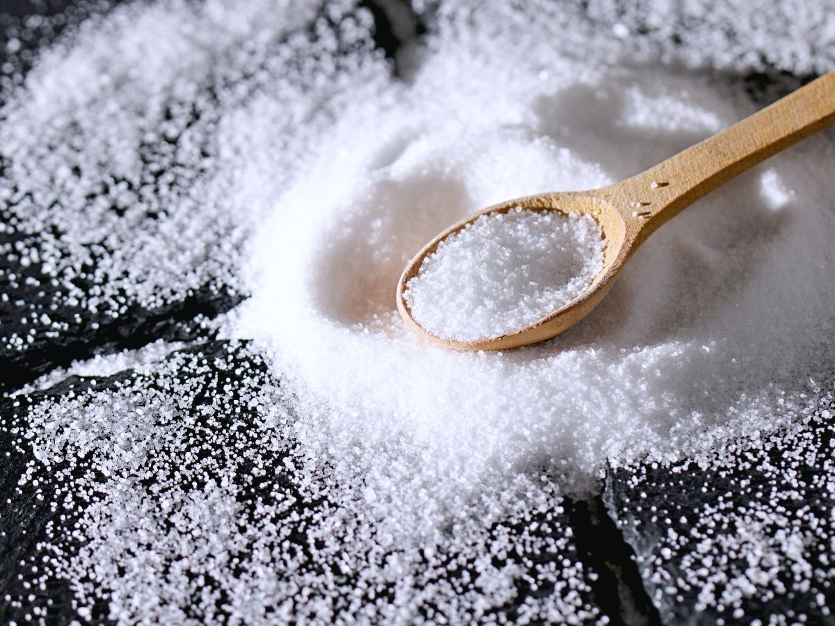 क्या बिना नमक जिंदा रह सकता है आदमी, फायदा होगा या सेहत पर पड़ेगा भारी? एक्सपर्ट्स से समझें पूरा मामला! - Photo Gallery