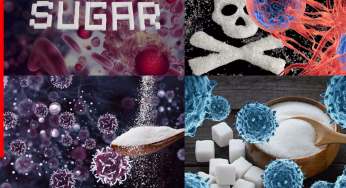 क्या चीनी खाने से होता है कैंसर? रिपोर्ट में हुआ चौंकाने वाला खुलासा