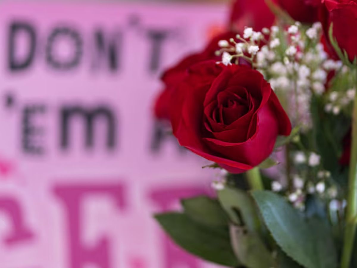 Valentine Week 2026 - Photo Gallery