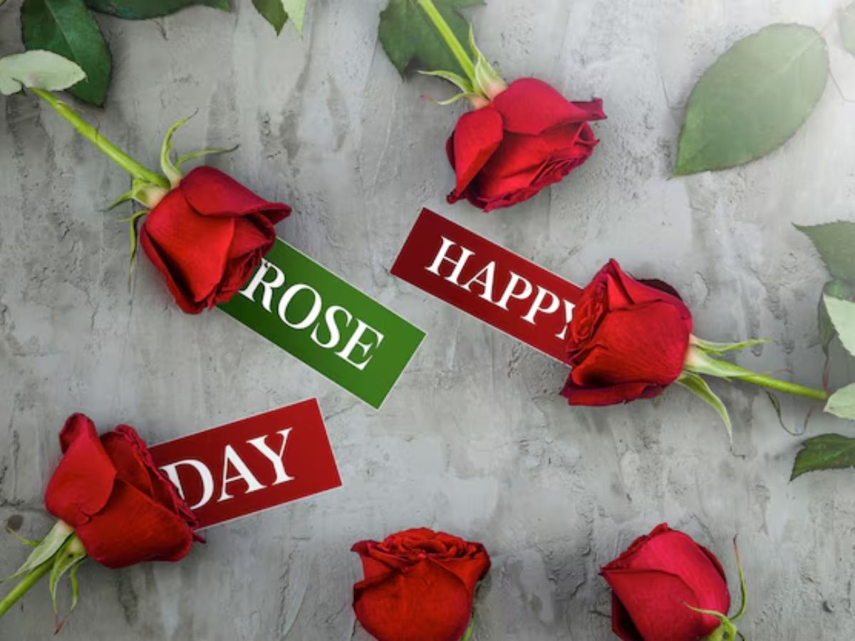 Valentine Week 2026 Gift Ideas - Photo Gallery