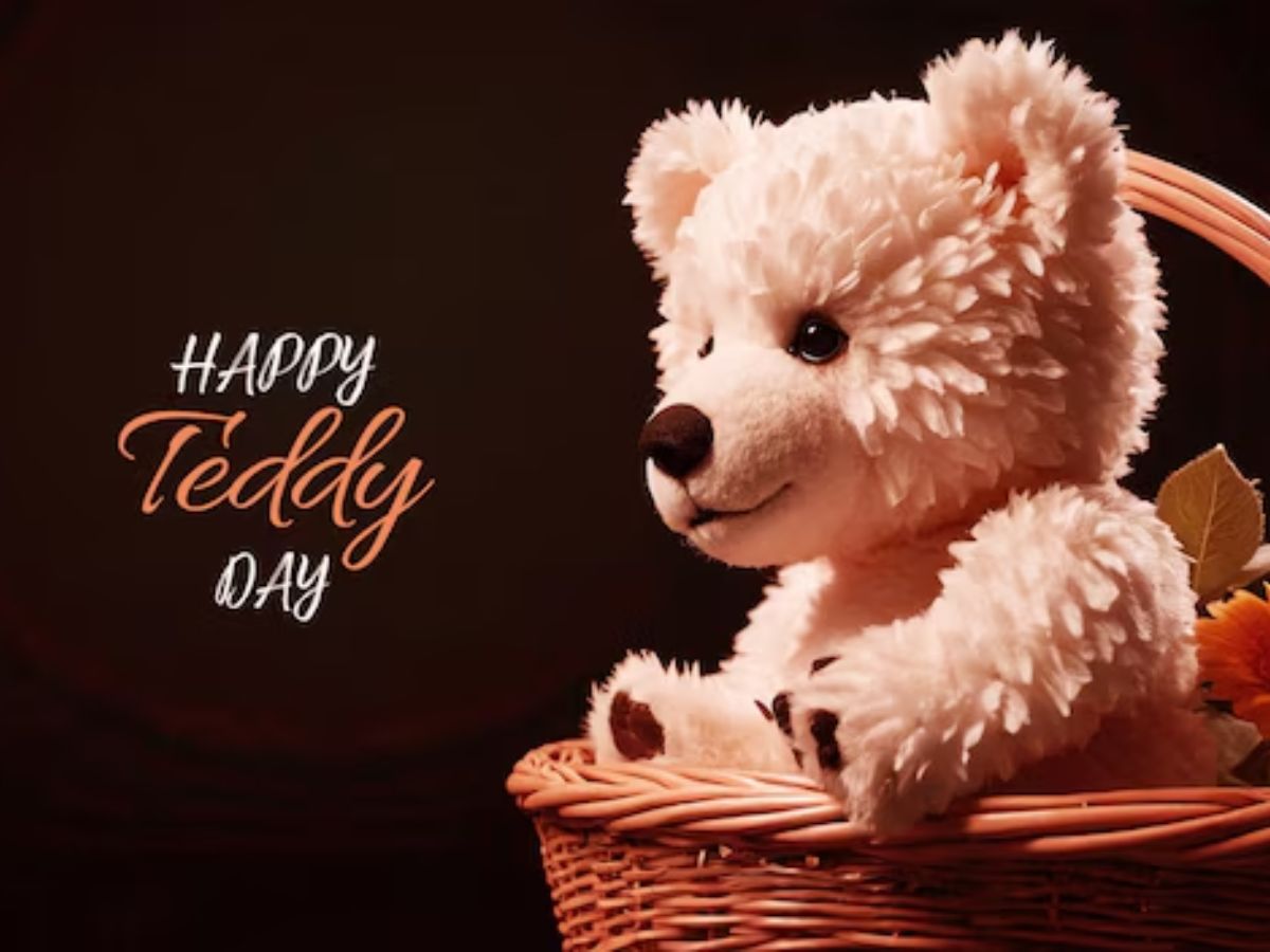 Valentine Week 2026 Gift Ideas - Photo Gallery