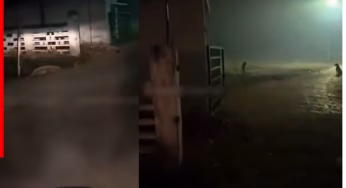 Food Delivery Graveyard Video: ‘कब्रिस्तान के अंदर आ जाओ’, डिलीवरी एजेंट को बुलाया कब्रों के बीच; Video देख कांप उठेंगे आप