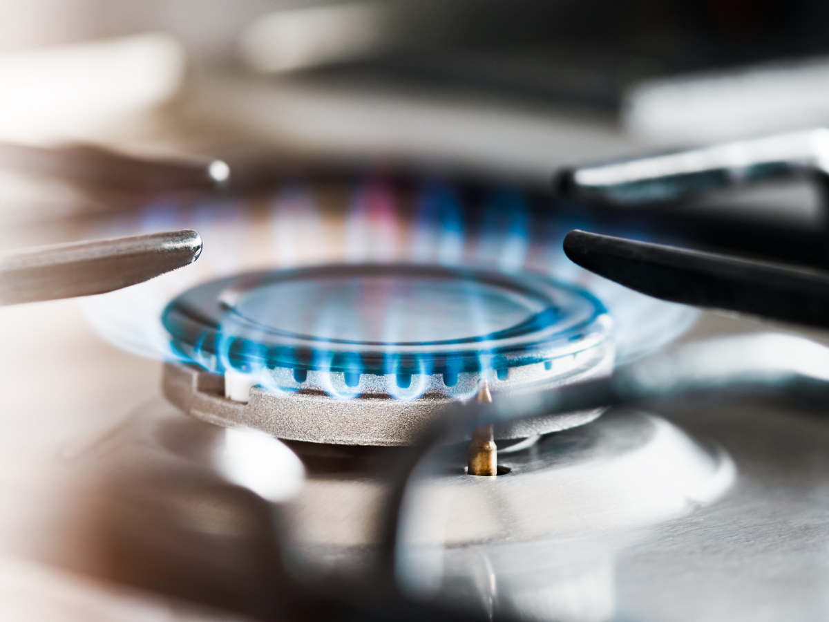 क्यों सुरक्षित है PNG सप्लाई? समझिए LPG और गैस संकट का पूरा गणित - Photo Gallery