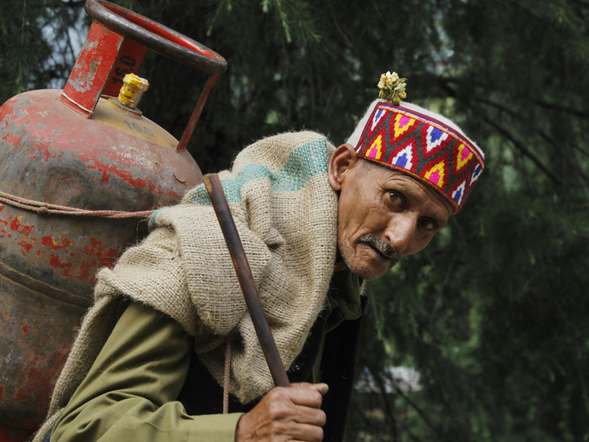 एलपीजी नहीं मिल रही? ये देसी तरीका देगा फ्री गैस का समाधान; जानें कैसे - Photo Gallery