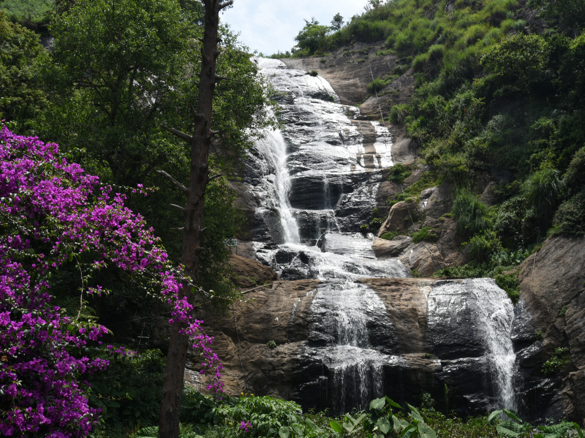 Hill Stations For Summer Vacation: एग्जाम खत्म, अब घूमो खुलकर! समर वेकेशन के लिए टॉप 10 बेस्ट हिल स्टेशन - Photo Gallery