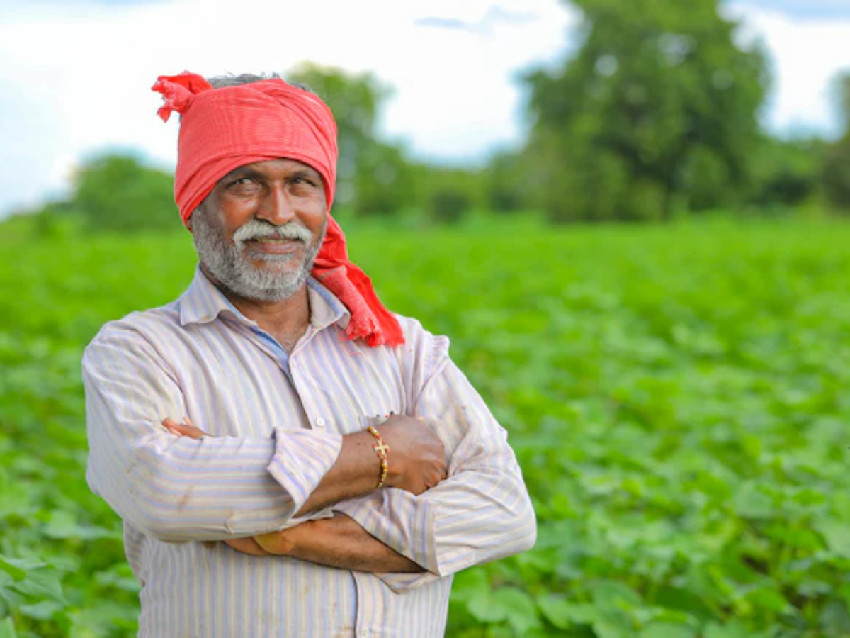 Action against those who benefit from fraud - Photo Gallery