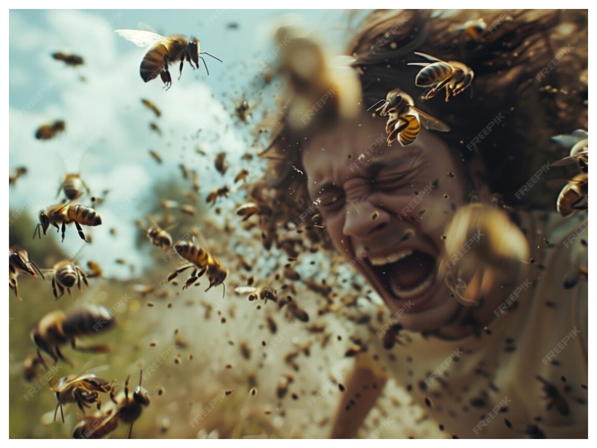 Bee attack: मधुमक्खियों का डंक कब होता है जानलेवा, जानें इसके खतरे के बारे में और बचाव के आसान उपाय - Photo Gallery