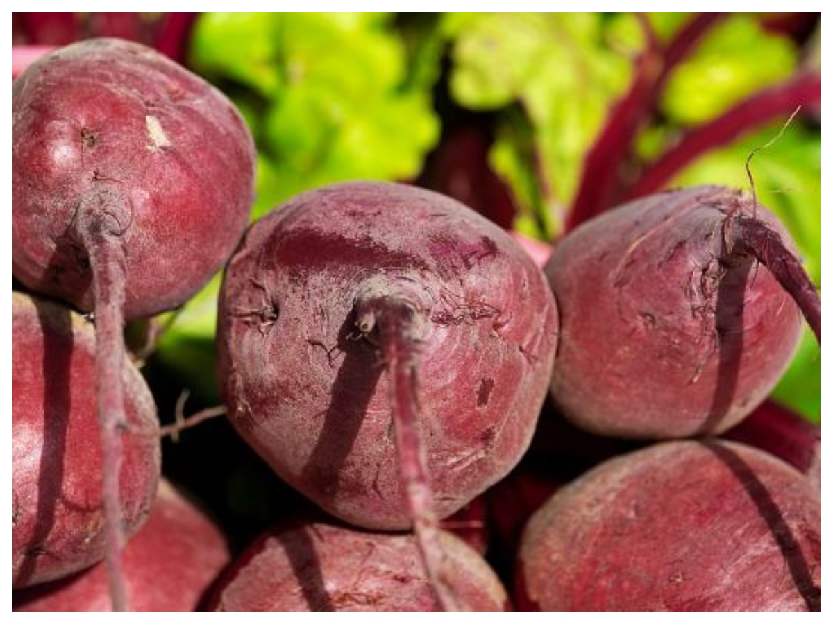 Beetroot Benefits: चुकंदर क्यों है सेहत का खजाना? जानिए इसके बड़े फायदे - Photo Gallery